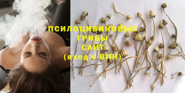 ГАЛЛЮЦИНОГЕННЫЕ ГРИБЫ Аркадак
