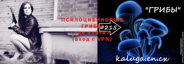 apvp Армянск