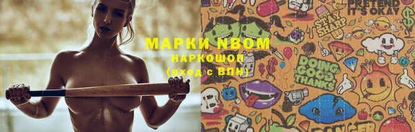 ГАЛЛЮЦИНОГЕННЫЕ ГРИБЫ Аркадак