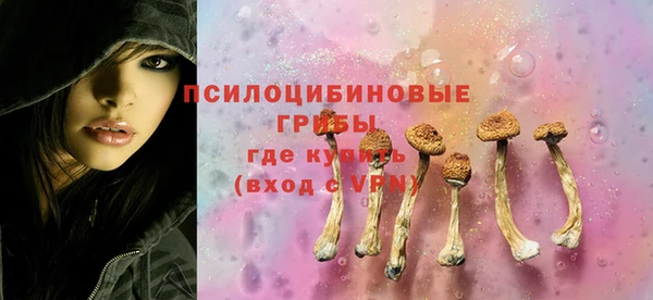 apvp Армянск