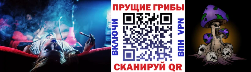 Галлюциногенные грибы Psilocybine cubensis  Волжский 